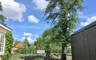 591__moestuin_(groep_8+opa's+oma's